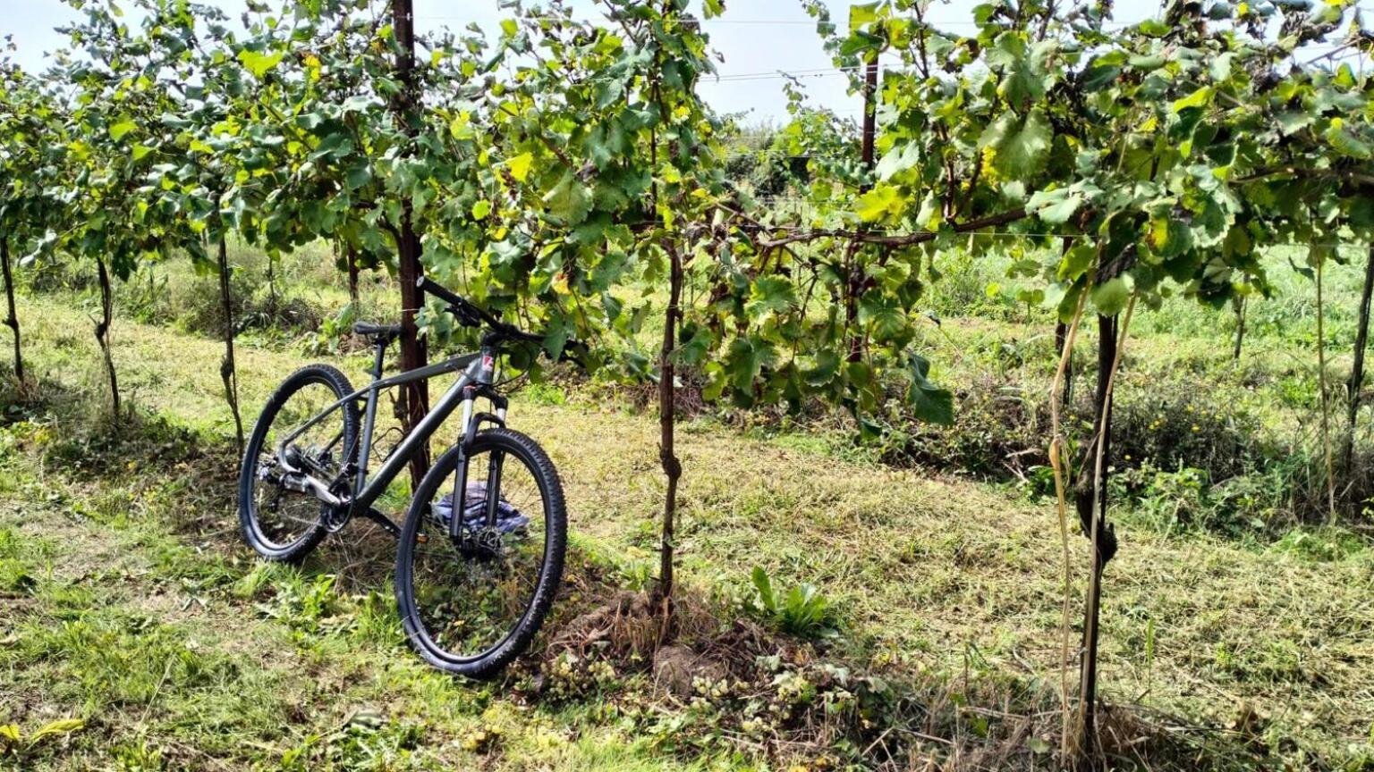 ホテル Asd -Sport E Giovani Borgofranco d'Ivrea エクステリア 写真